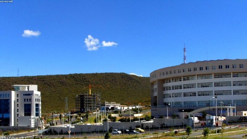 bt磁力搜索磁力猫搜索引擎主界面展示